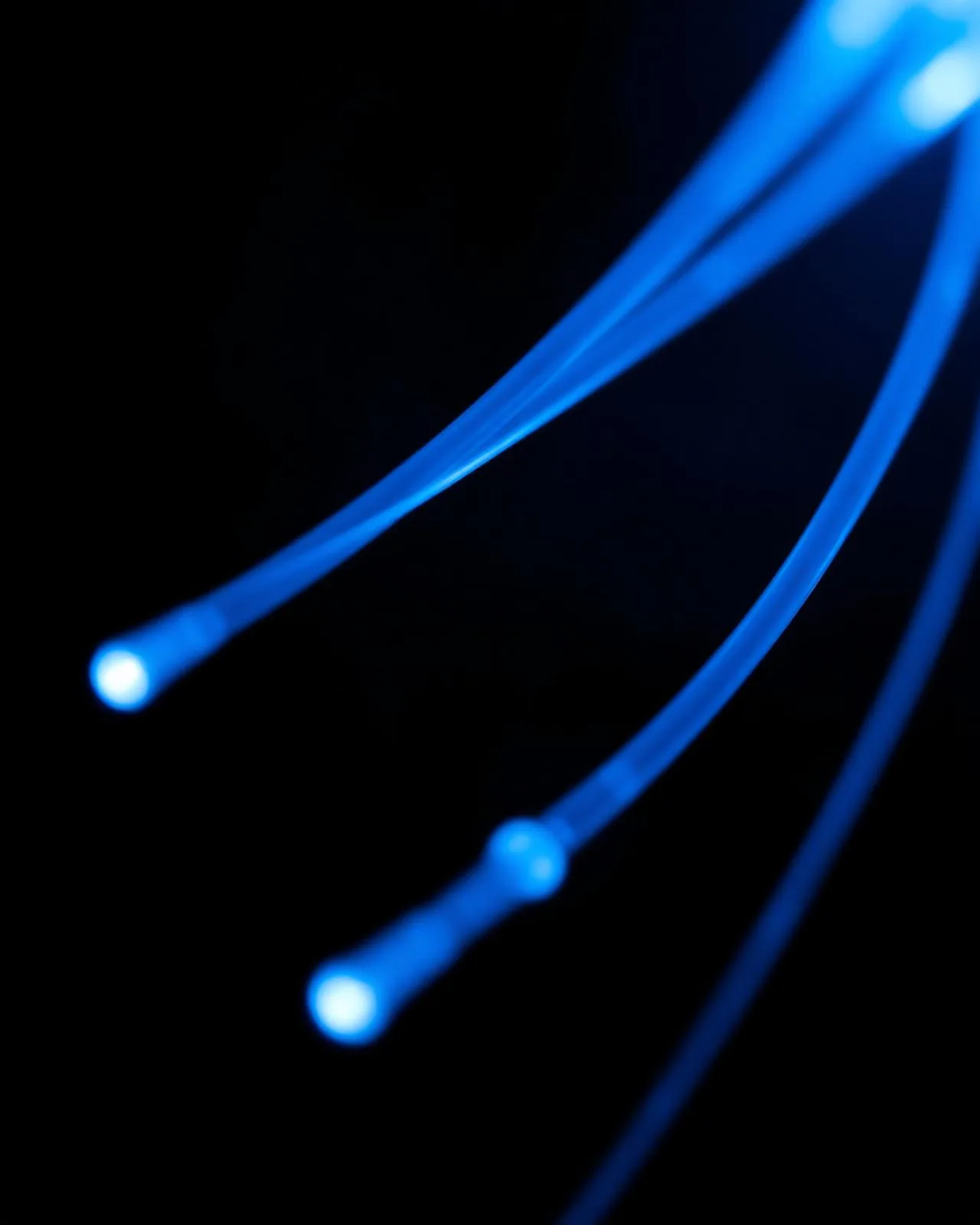 Backbone and access fibre